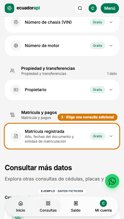 Opciones adicionales de una placa ficticia con Matrícula registrada resaltada.